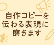 600文字程度で自作コピーを伝わる表現に磨きます イメージ1