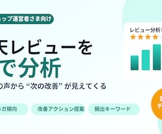 楽天レビューを分析し改善ポイントを丸ごと洗出します イメージ1