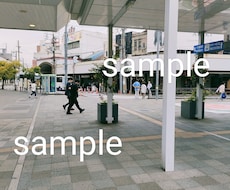 日常スナップ写真を提供します イメージ1