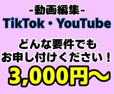 ジャンルに沿って完璧な動画編集をします イメージ1