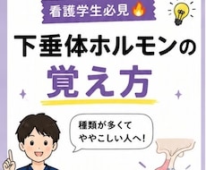看護学生向けホルモンを覚えられる資料を作成します イメージ1