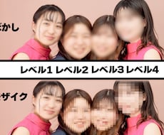 動画にぼかし・モザイクかけます イメージ1