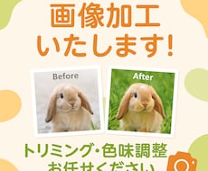 商品画像の背景変更・サイズ変更・明るさ調整します イメージ1