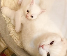 私にどーんと甘えてください！優しく受け止めます 大人でいることに疲れてしまったあなたへ。