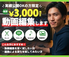 実績公開OKの方限定で格安で動画編集します イメージ1