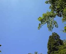 お悩みや愚痴をお引き受けいたします イメージ1