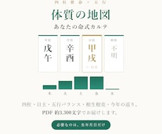 庚辰　四柱推命×五行であなたの体質の地図を作ります イメージ1