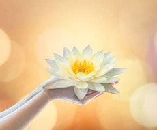 心のお悩み聞きます なんでもご相談ください(*^^*)