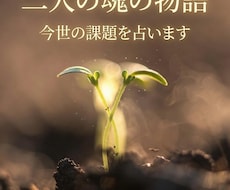 五界命術で占います 総合的な相性、お二人の魂の物語、今世の課題についてお話します