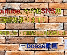 Youtube、その他SNS用の動画編集を承ります イメージ1