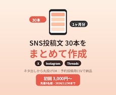 SNS投稿文30本を1ヶ月分まとめて作成します イメージ1