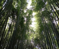 人間関係、介護、などお話を聴かせていただきます イメージ1