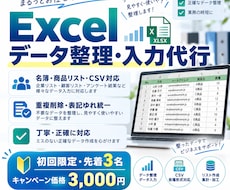 初回限定 先着3名 データ整理・入力します イメージ1