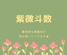 紫微斗数で基本的な性格・性質を占います 最短１時間以内に返信いたします★　命術から読み解きます★
