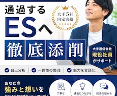 大手5社内定の現役社員が通過するESへ徹底添削ます イメージ1