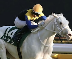 本物の競馬予想教えます