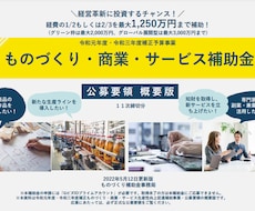 システム案件に特化した補助金代行申請を行います イメージ1