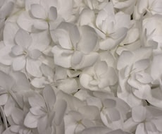 あなたのお気持ちをお聞きします イメージ1