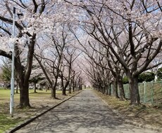 旦那さんの愚痴ききます イメージ1