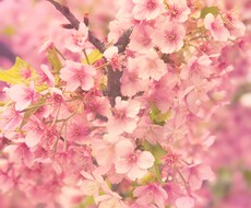 貴方のお悩みが、解消できるまで聞きます イメージ1