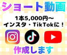 1本5,000円～SNS用ショート動画作ります イメージ1