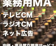 各種コマーシャルの放送準拠MAに対応します イメージ1