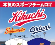 野球チーム向け！ガチのプロ品質のチームロゴ作ります 本格チームロゴをプロ品質で制作！SNSやグッズにも使えます
