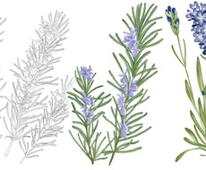 植物・花・ボタニカルのイラストを制作します イメージ1