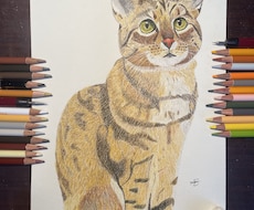 絵やイラストを描いてます イメージ1