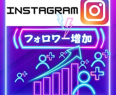 インスタの「高品質」日本人フォロワー増やします イメージ1