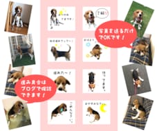 ペットのLINEスタンプを作成します ＆【期間限定】今だけ絵文字８個をおまけします！