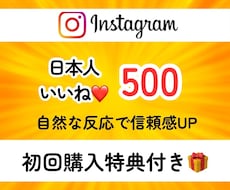 インスタに日本人から500いいねを拡散支援します イメージ1