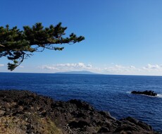 あなたの話し相手になります 嬉しいこと悲しいこと悩み愚痴etc...なんでもOK！！