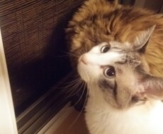 人に話せない悩み お話全て聞きます イメージ1