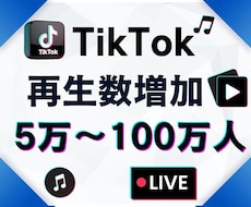 TikTokの動画再生数を増加します TikTok動画宣伝します！＋50000再生回数増加確実！