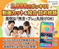 パパママ応援】撮りっぱなし動画のカット編集します イメージ1