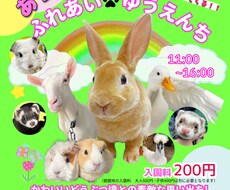 動物関係、子供向けチラシを作成します イメージ1