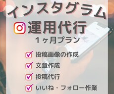 １ヶ月間、インスタ運用いたします