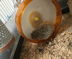データ入力代行します