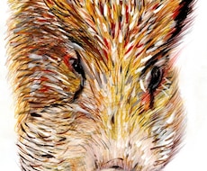手描きの温かいタッチを心がけています イメージ1