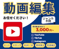 ジャンル不問★YOUTUBE・SNS動画編集します 【WEBデザイナーとしても活躍】サムネ等の画像も制作可能