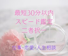 どちらか迷ってしまってる貴方へ二者択一で視ます 人生は選択の連続✽迷える貴女にYESNOでお伝えします