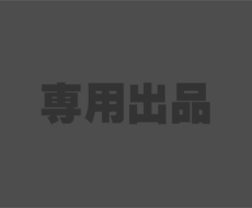 こちらは専用出品となります 事前にお約束させていただいた方専用の出品です。