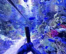 今を明るく〜　　皆様を明るく元気づけます イメージ1