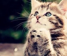 お子様の反抗期 いじめや学校とのトラブルなどからあなたを守ります。 イメージ1