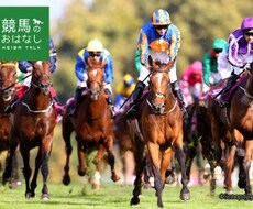 中央競馬の全重賞の展望をお届けします