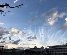 恋愛相談や恋愛愚痴など友人とLINE感覚でききます イメージ1