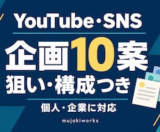 YouTube・SNSの企画10案をご提案します イメージ1