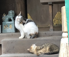 あなた未来の伴侶の姿教えます どんな立場の人 どこから出現するのか 知りたくないですか？