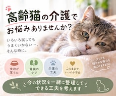 高齢猫の介護のお悩み、ご相談お受けします ​20年の猫飼育経験と専門知識であなたの不安に寄り添います